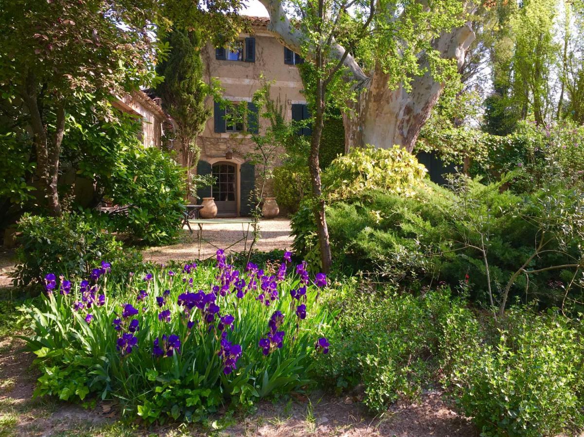 Campagne Baudeloup Bed and Breakfast LʼIsle-sur-la-Sorgue Buitenkant foto
