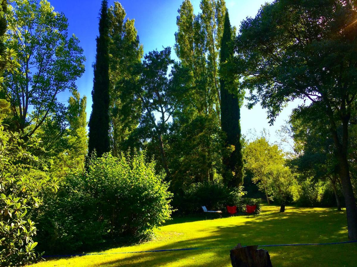 Campagne Baudeloup Bed and Breakfast LʼIsle-sur-la-Sorgue Buitenkant foto
