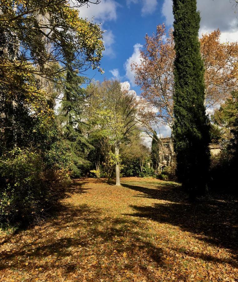 Campagne Baudeloup Bed and Breakfast LʼIsle-sur-la-Sorgue Buitenkant foto