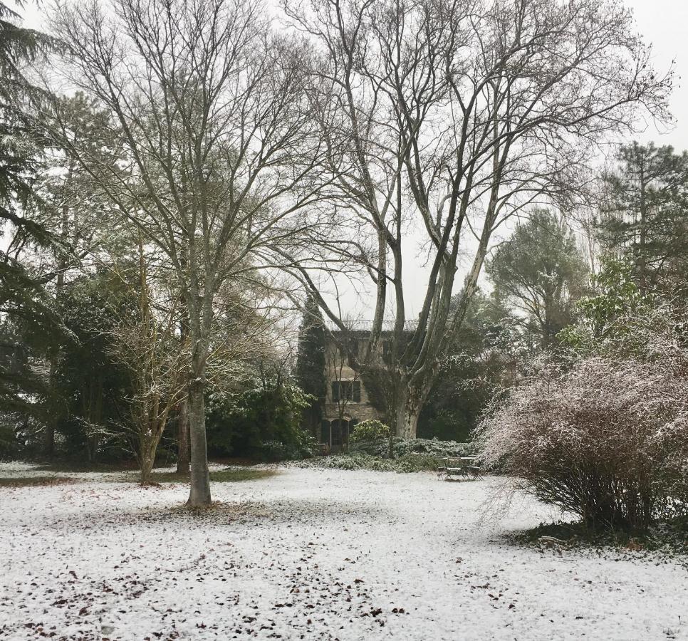 Campagne Baudeloup Bed and Breakfast LʼIsle-sur-la-Sorgue Buitenkant foto