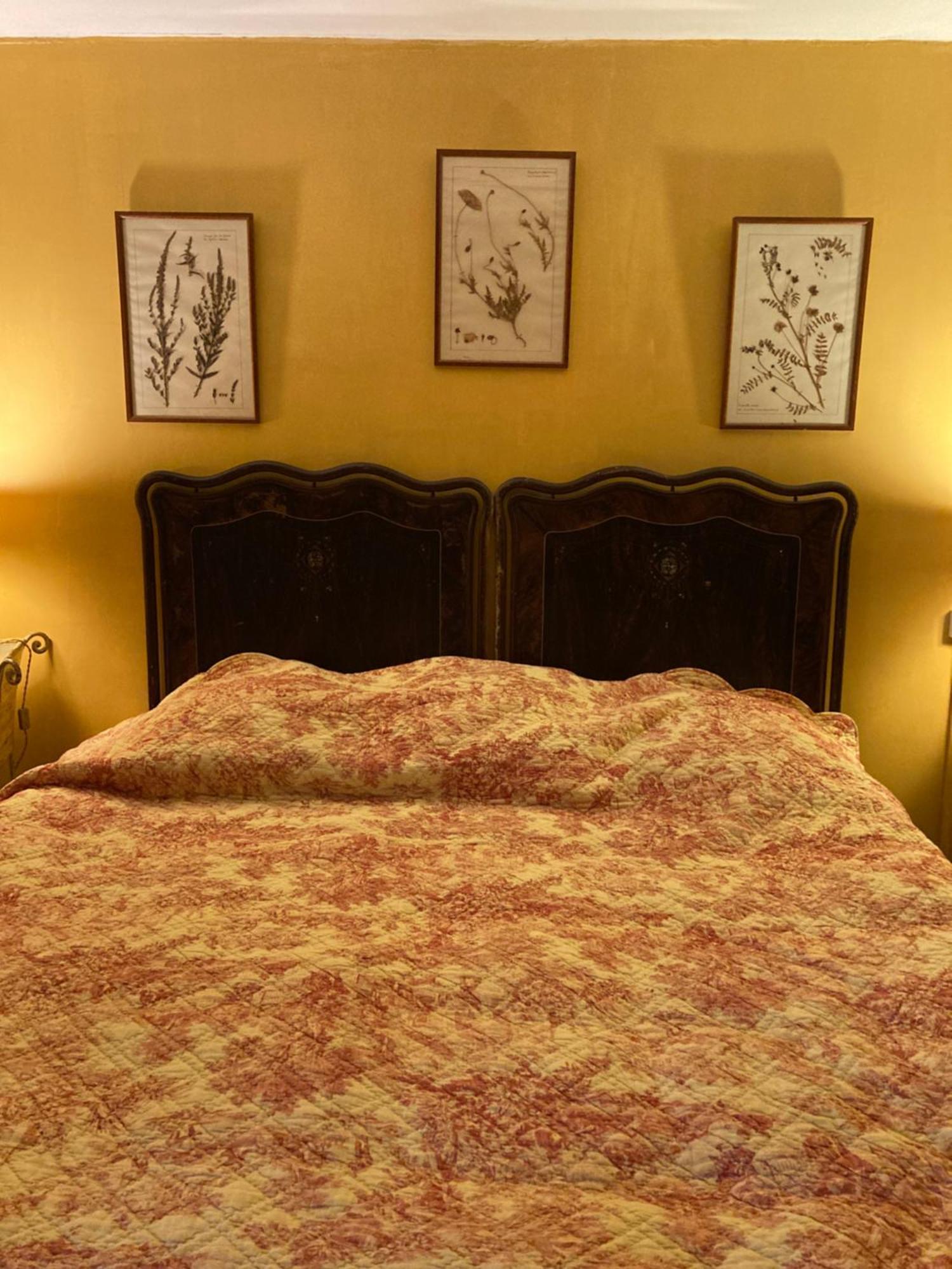Campagne Baudeloup Bed and Breakfast LʼIsle-sur-la-Sorgue Buitenkant foto